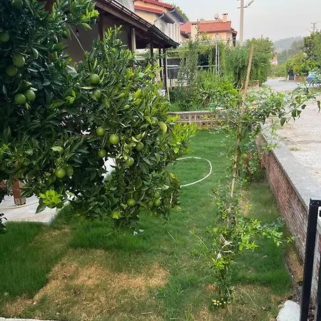 Pinar - Near The Airport And