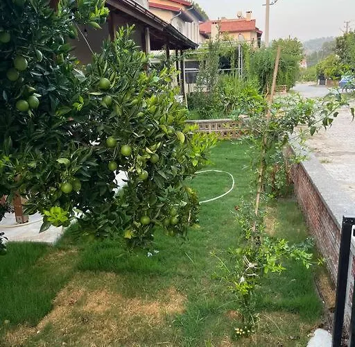 Pinar - Near The Airport And